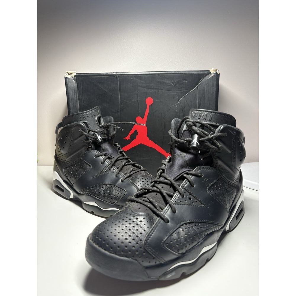 Nike Air Jordan 6 VI Retro Black Cat 2016 384664-020 - Size 10.5‎
